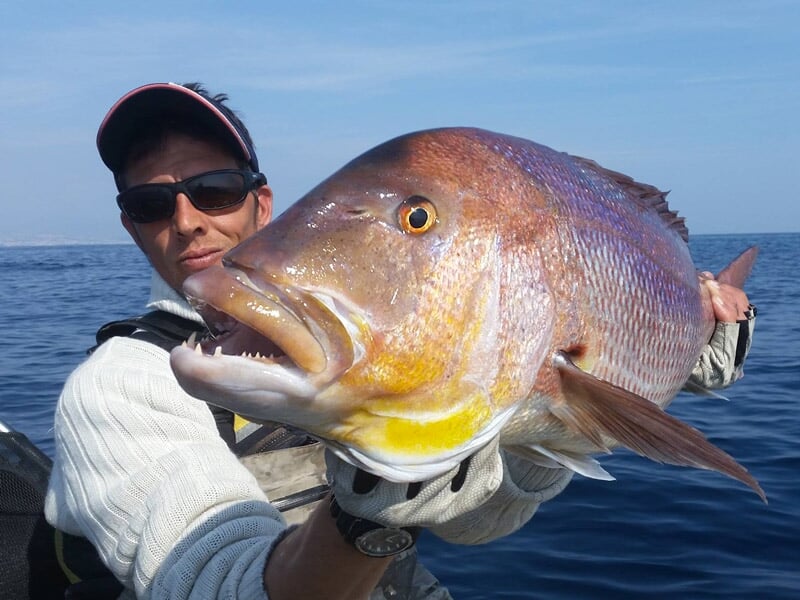 Pêcheur en mer tenant un gros poisson coloré avec un ciel bleu et une mer calme en arrière-plan.