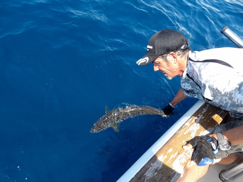 Pêcheur relâchant un poisson dans l'eau depuis le bord d'un bateau sous un ciel bleu clair.
