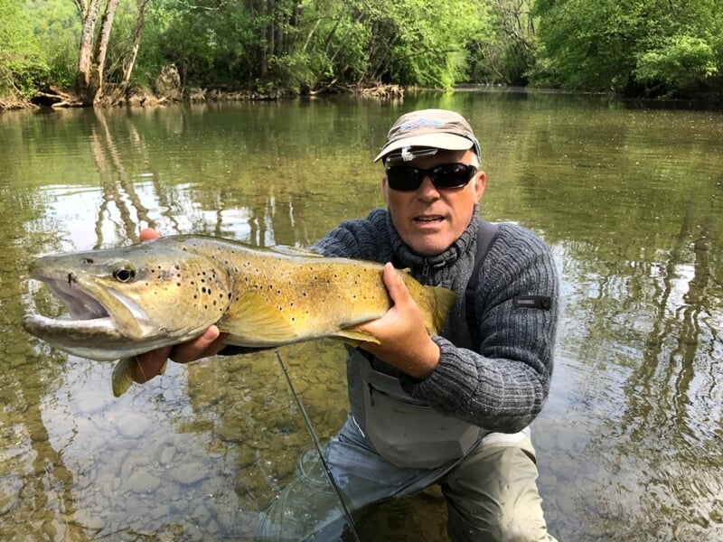 Un pêcheur en pull gris et lunettes de soleil présente une grosse truite brune capturée, debout dans une rivière calme avec des arbres verdoyants en arrière-plan