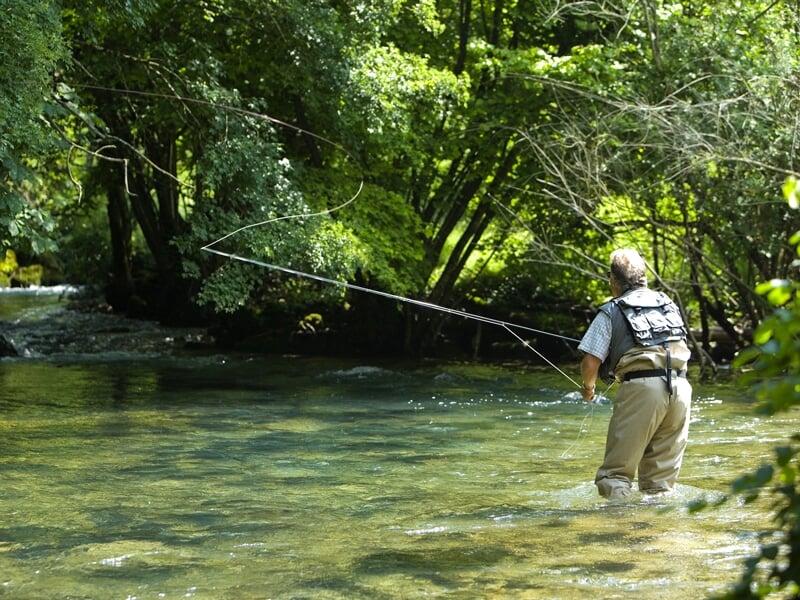 Un pêcheur à la mouche en tenue de pêche se tenant dans une rivière claire, avec un mouvement élégant de la ligne de pêche, entouré par une forêt luxuriante
