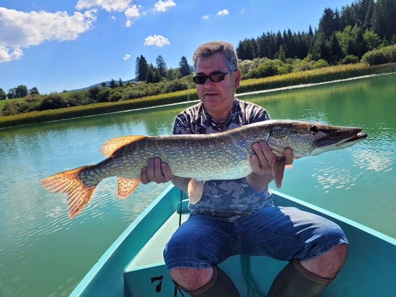 Un homme en chemise à motif camouflage et lunettes de soleil tenant fièrement un grand brochet dans un bateau sur un lac calme avec des collines boisées en arrière-plan