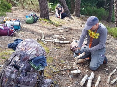 Stage de Survie près d'Alençon - Survie Zen et découverte des plantes sauvages comestibles
