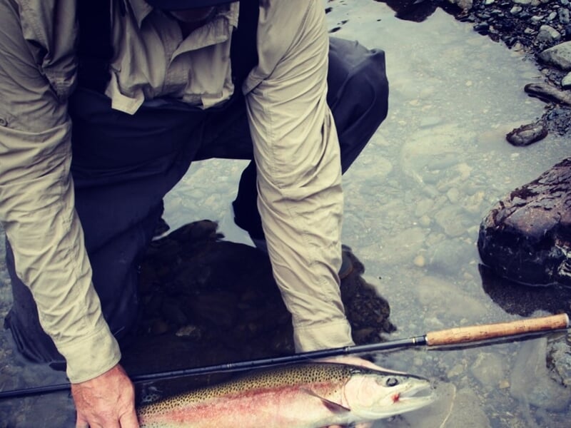 Pêcheur tenant une grande truite colorée au-dessus de l'eau, prêt à la relâcher dans la rivière.