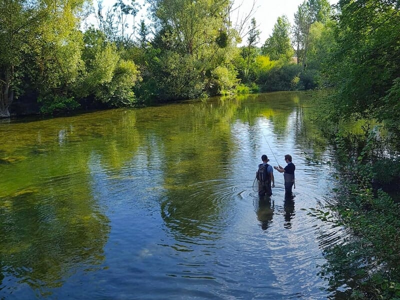 Deux pêcheurs en waders dans une rivière calme entourée d'arbres verts par une journée ensoleillée.