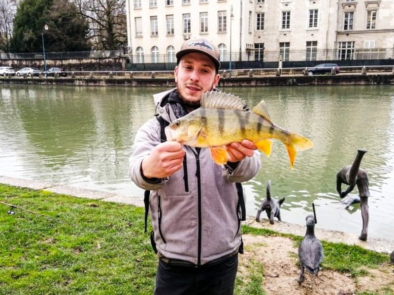 Jeune homme tenant un poisson jaune rayé devant un plan d'eau urbain avec des sculptures et des bâtiments.