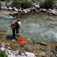 avis Stage de Pêche à la Mouche près d'Albertville - Pêche aux Salmonidés en Savoie