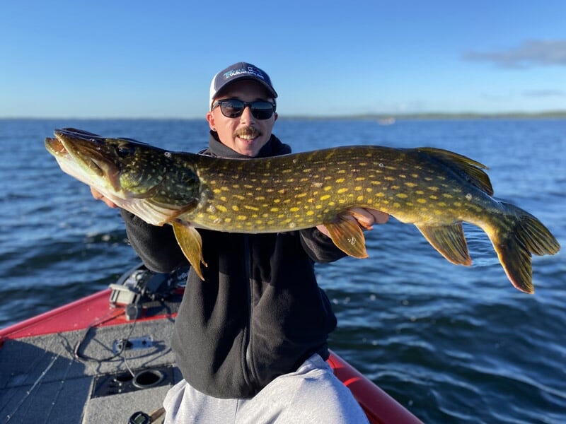 Un pêcheur souriant tient un grand brochet avec des taches jaunes sur un bateau rouge en pleine eau.