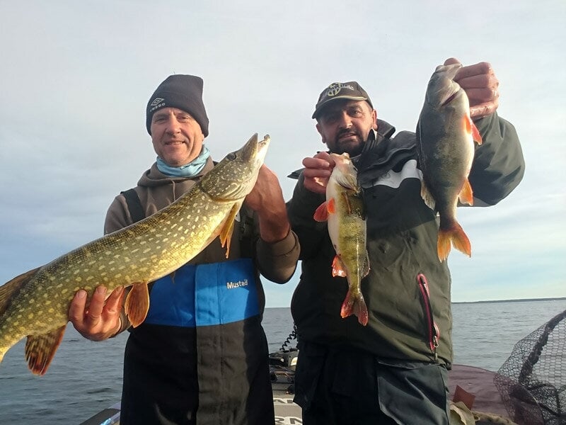 Deux hommes posent fièrement avec plusieurs poissons, dont un brochet et des perches, sur un bateau en lac.