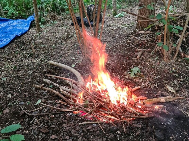 Feu de camp allumé avec des branches dans une clairière entourée d'arbres verts.