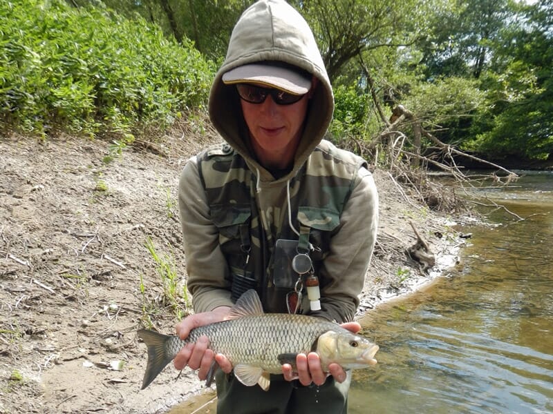 Stage de Pêche Sportive près de Strasbourg - Plobsheim
