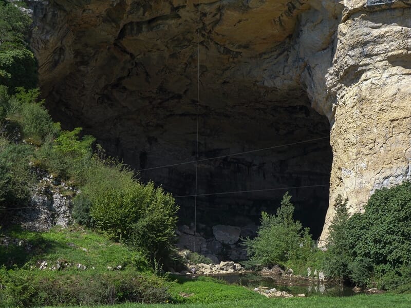 Vue de la grotte avec des buissons verts et un sol herbeux devant l'ouverture rocheuse.
