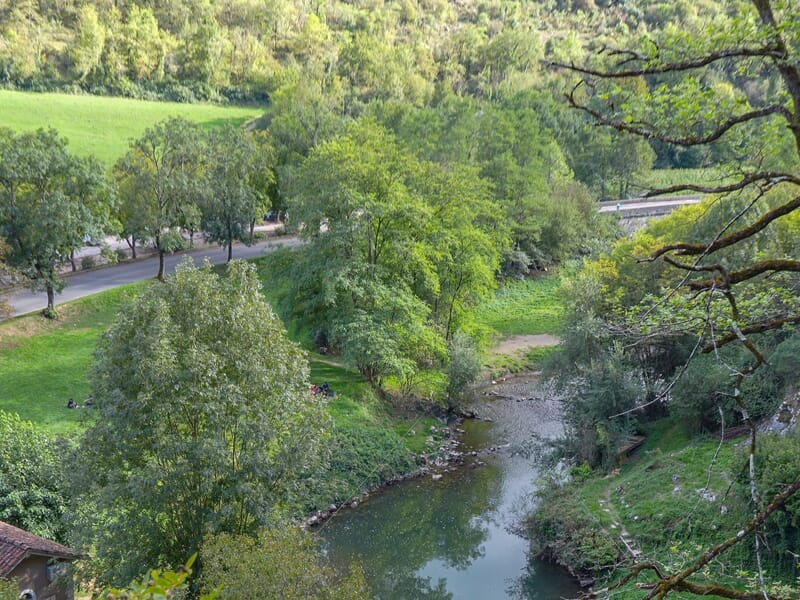 Paysage verdoyant avec rivière sinueuse, arbres feuillus et route visible au loin.