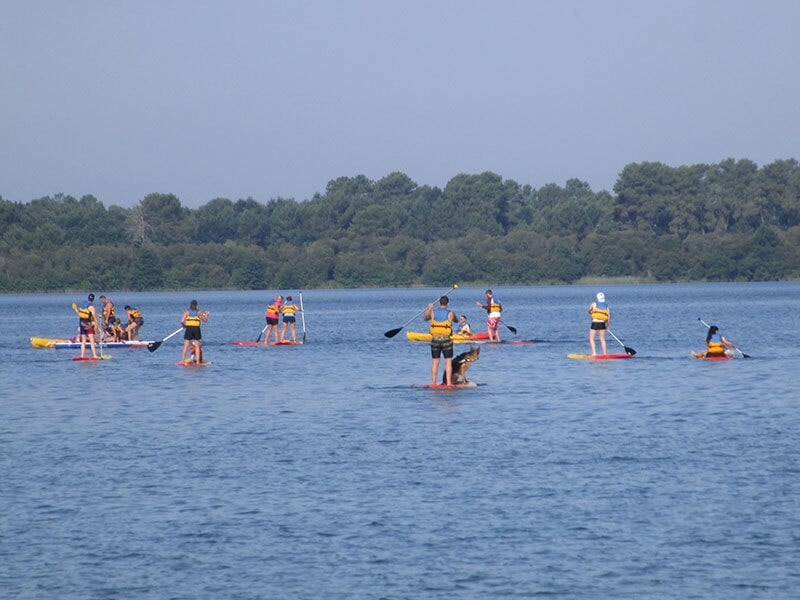 Plusieurs personnes pagayant sur des stand-up paddles sur un grand lac entouré de végétation.