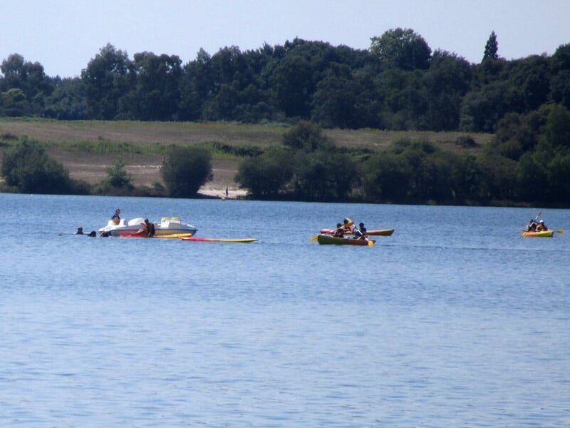 Plusieurs personnes pagayant en kayak sur un lac entouré d'arbres sous un ciel clair.