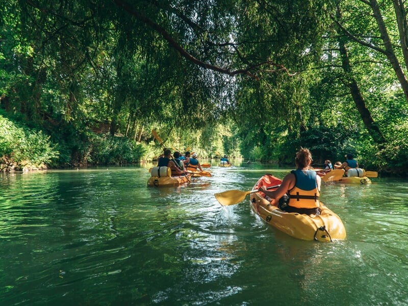 Plusieurs kayaks jaunes et rouges pagayant sur une rivière paisible bordée d'arbres verts en été.