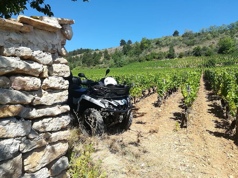 Quad noir garé près d'un mur en pierre dans un champ de vignes sous un ciel clair et ensoleillé.