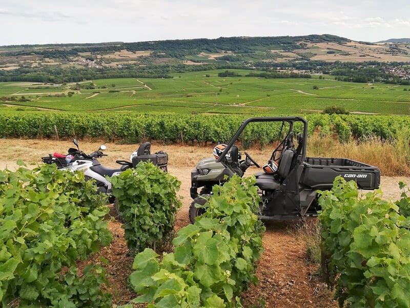 Deux quads et un buggy garés dans un champ de vignes sous un ciel clair avec des collines en arrière-plan.