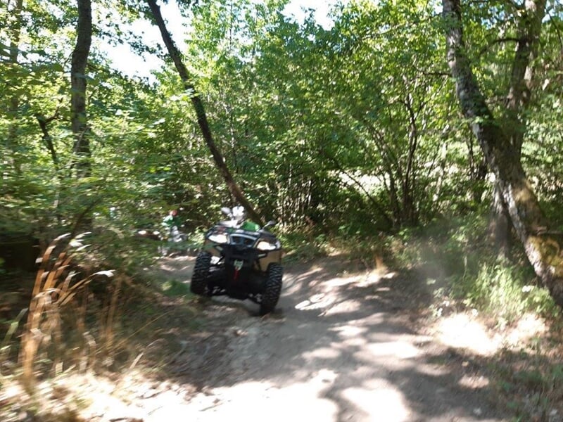 Quad tout terrain sur un chemin forestier ombragé, entouré d'arbres verts en pleine nature, ambiance calme et aventureuse.