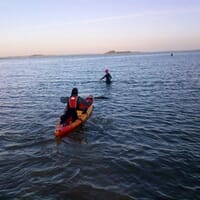 avis Location de Canoë-Kayak au Lac du Der