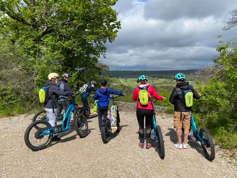 Randonnée en Trottinette électrique dans la Forêt de Fontainebleau