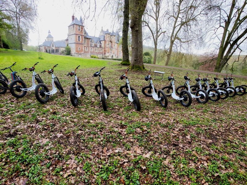 Rangée de trottinettes électriques noires sur un sol couvert de feuilles mortes dans un parc boisé.