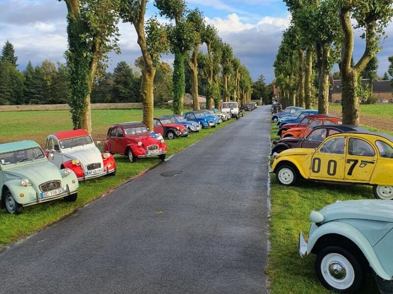 Alignement de Citroën 2CV des deux côtés d'une route bordée d'arbres taillés, avec des voitures rouges, bleues, vertes, jaunes et blanches. Le ciel est partiellement nuageux et les arbres délimitent u