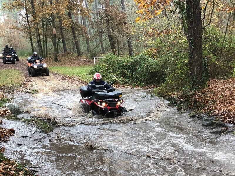Groupe de quads traversant un ruisseau en forêt avec des arbres et des feuilles d'automne autour.
