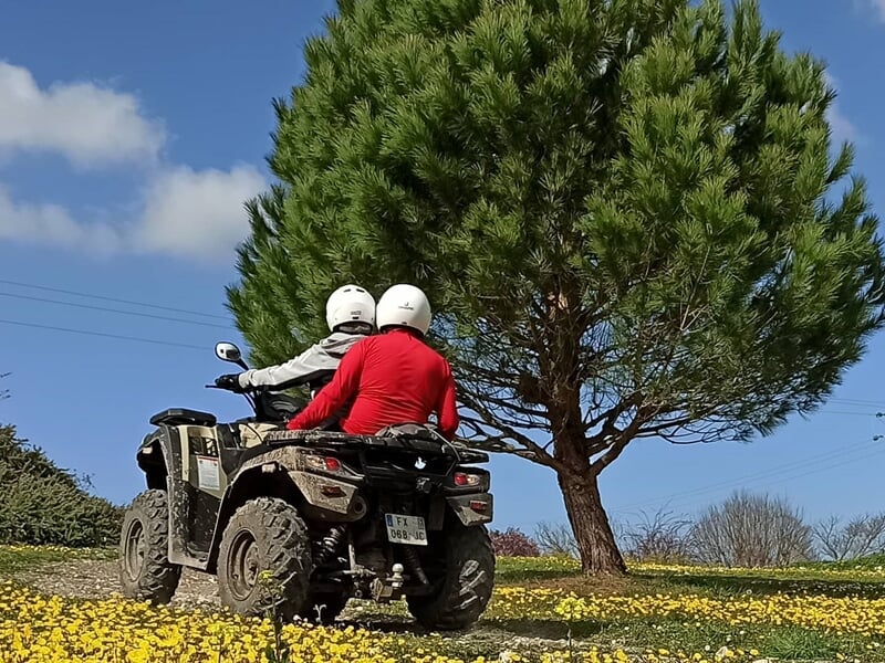 Deux personnes en casque sur un quad roulant sur un chemin entouré de fleurs jaunes et d'arbres verts.