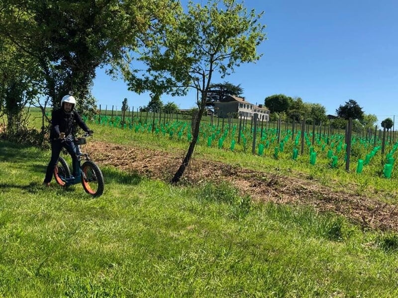 Personne en casque roulant sur un vélo électrique dans un champ vert avec des vignes en arrière-plan.