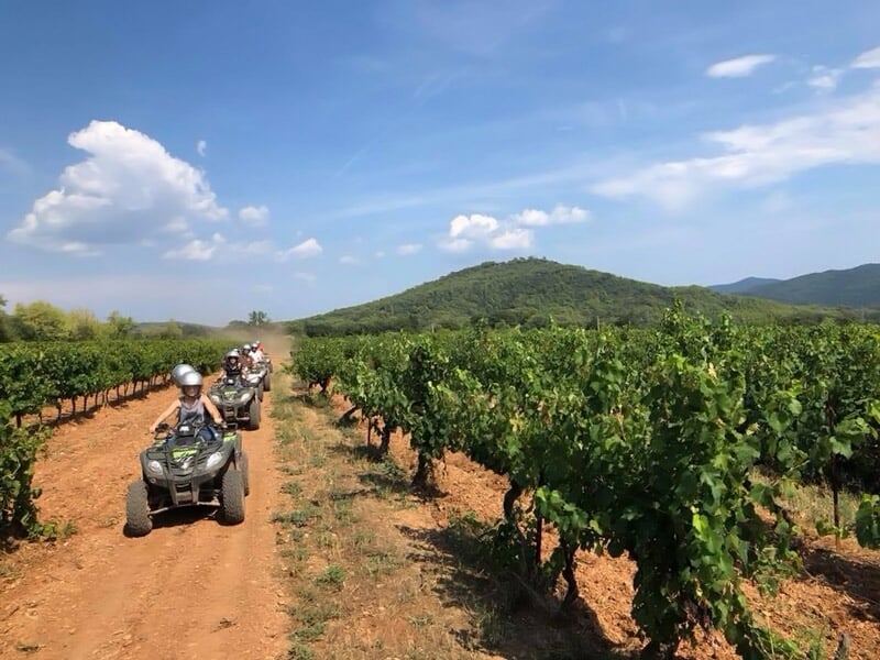 Groupe de pilotes en quad roulant sur un sentier entre des rangées de vignes avec une colline en arrière-plan.