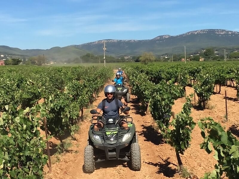 Groupe de quads roulant en file sur un sentier entre des vignes avec des collines en arrière-plan.