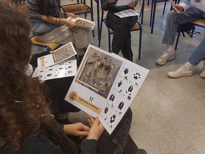 Stage de Pistage Animalier près de Nantes - Grand-Fougeray