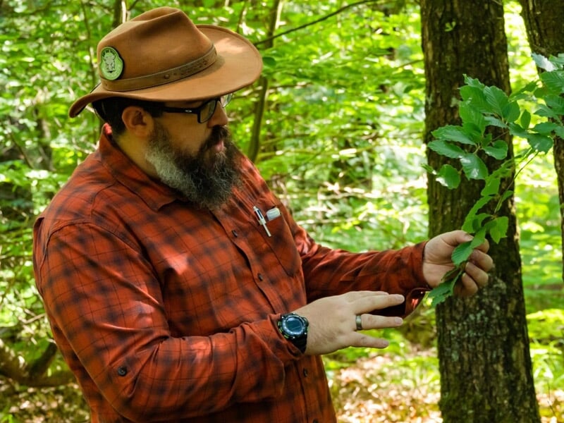 Un homme barbu en chemise à carreaux montre une feuille d'arbre lors d'un stage de survie en forêt.