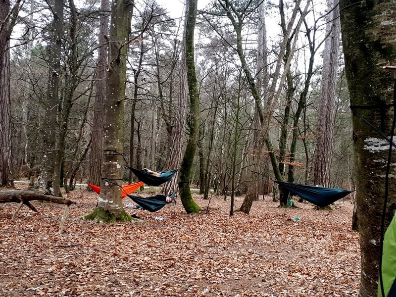 Plusieurs hamacs suspendus entre les arbres dans une forêt en automne avec des feuilles au sol.