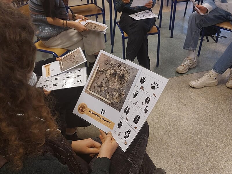 Groupe de personnes assises en cercle observant des fiches imprimées présentant des empreintes d’animaux, des silhouettes de pattes et des indices de comparaison.