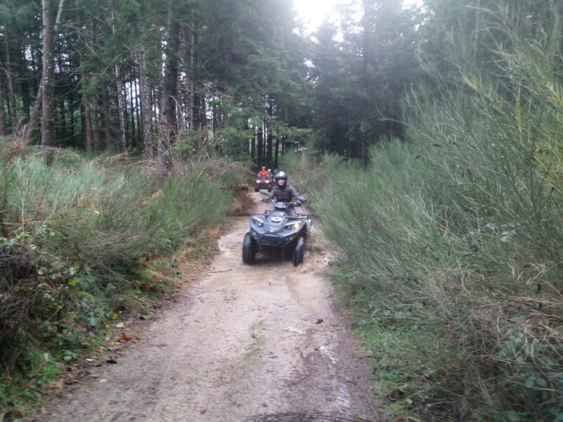 Deux personnes en quad roulant sur un sentier étroit entouré de buissons verts et d'arbres dans une forêt.