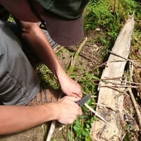 avis Stage de Survie près de Grenoble - Saint-Martin-d'Uriage