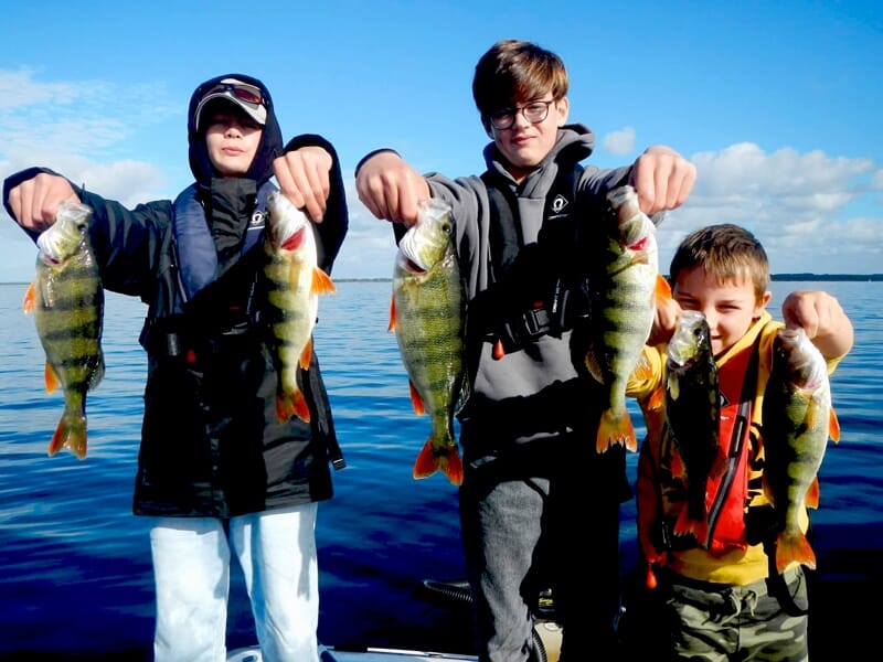 Trois garçons sur un bateau, montrant fièrement plusieurs perches jaunes qu'ils viennent de pêcher.