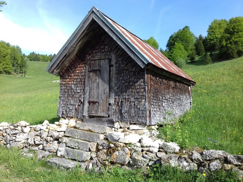Petite cabane en bois avec toit en tôle sur un terrain herbeux entouré d'arbres verts