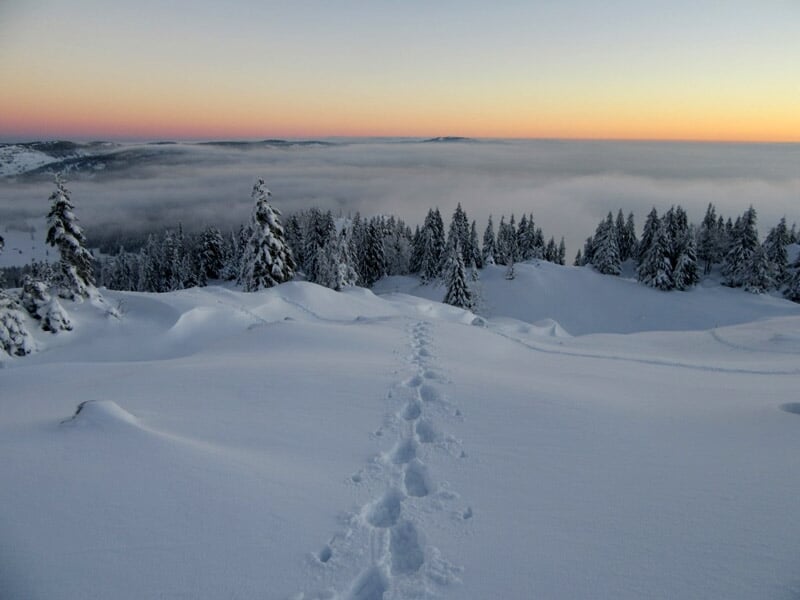 Paysage enneigé avec arbres givrés et montagnes au loin sous un ciel bleu clair et lumineux
