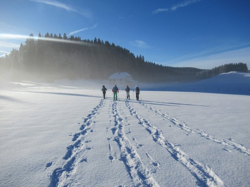 Chemin de pas dans la neige menant vers une forêt de sapins enneigés au coucher du soleil