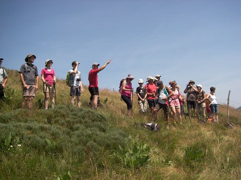 Groupe de randonneurs debout sur une colline herbeuse sous un ciel bleu clair, observant le paysage.
