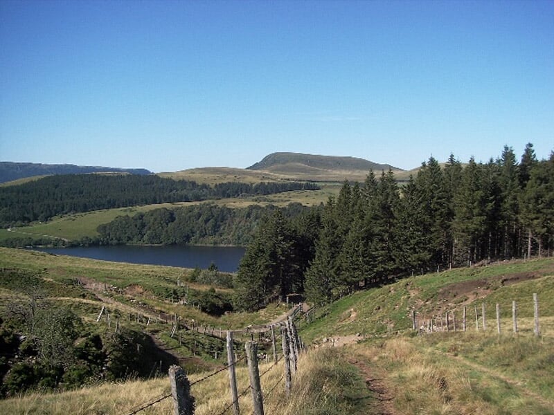 Paysage naturel avec un lac entouré de collines verdoyantes et une forêt dense au premier plan.