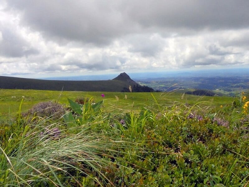 Paysage de montagne avec herbes hautes et fleurs sauvages sous un ciel partiellement nuageux.