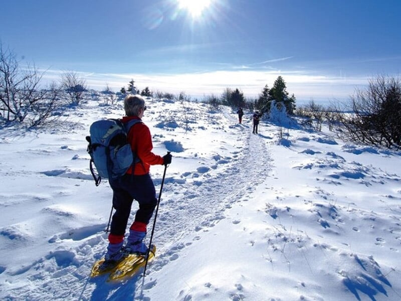 Randonneur en raquettes à neige sur un sentier blanc sous un ciel ensoleillé avec d'autres marcheurs au loin.