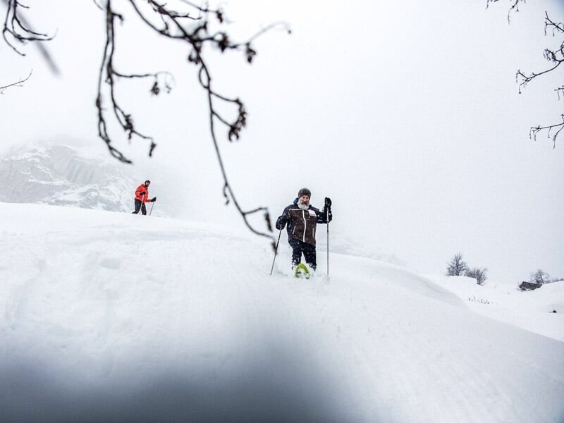 Deux randonneurs en raquettes à neige évoluant dans un paysage blanc avec arbres et collines.