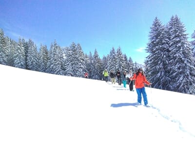 Séjour en Raquettes à neige à Abondance