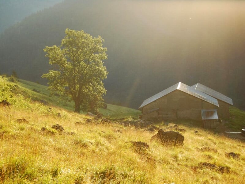 Paysage de montagne ensoleillé avec une prairie et une ferme traditionnelle sous un ciel clair.