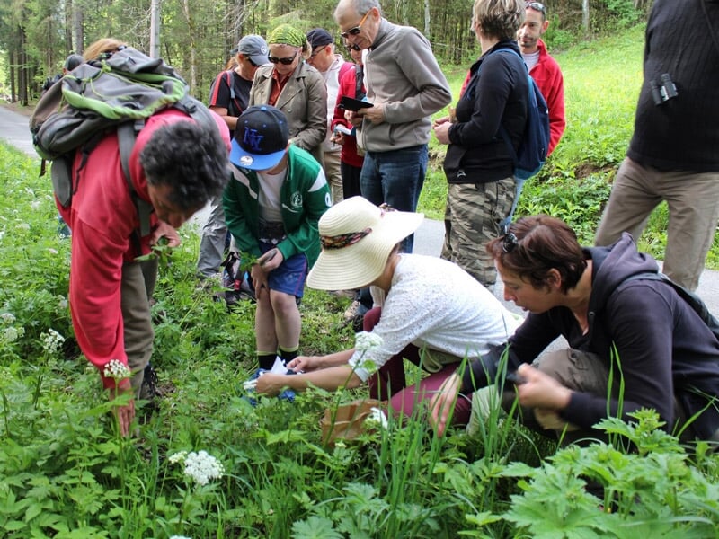 Groupe de personnes cueillant des plantes dans une forêt dense lors d'une sortie nature éducative.