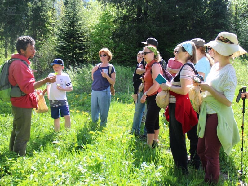 Guide expliquant la flore locale à un groupe de randonneurs attentifs dans une clairière ensoleillée.